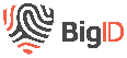 Logo BigID 2