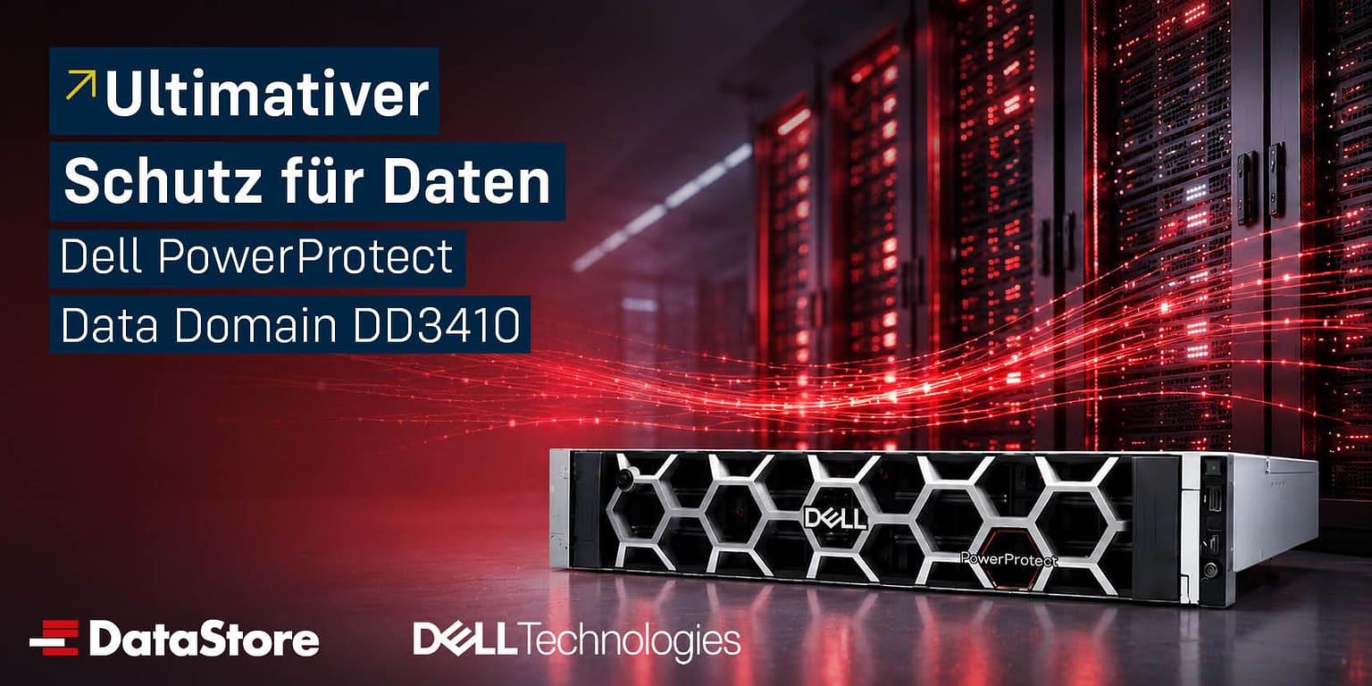 Dell PowerProtect DD3410