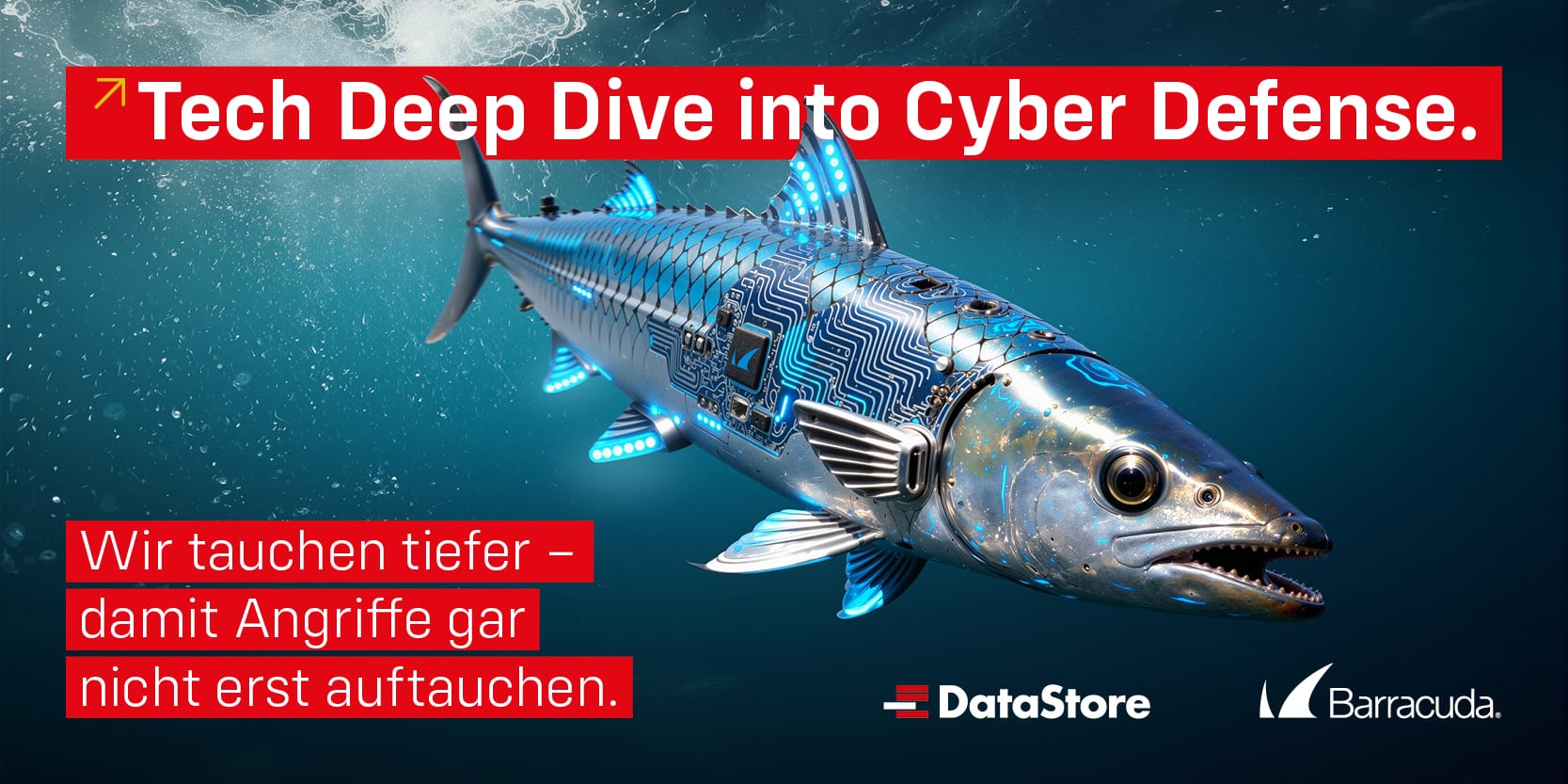Barracuda Tech Deep Dive